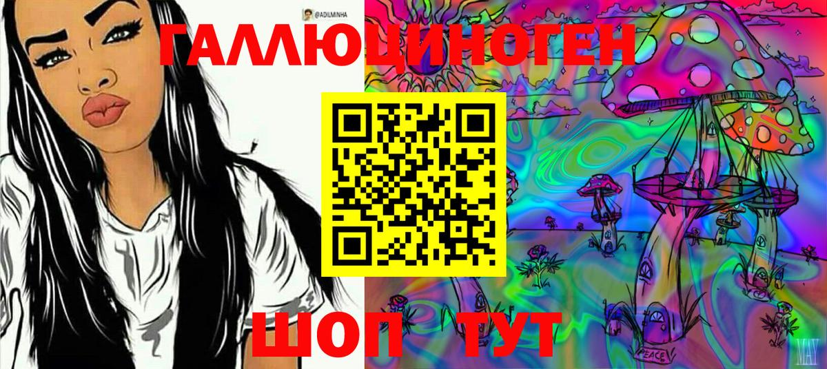 Галлюциногенные грибы Psilocybine cubensis Бузулук