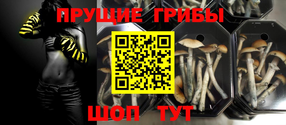 как найти наркотики  Псилоцибиновые грибы ЛСД  Вход с VPN  Бузулук  Псилоцибиновые грибы MAGIC MUSHROOMS 